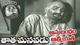 Old Telugu Songs | Tata Manavadu Songs | Anubandam | SV Ranga Rao - OldSongsTelugu
