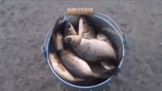 ОБМАН ЗРЕНИЯ -Видео приколы ржачные