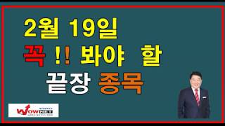 [주식]2월19일(수요일)꼭!! 봐야 할 끝장종목/바른손이앤이,오공