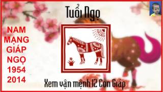 Tử vi Nam Mạng – Giáp Ngọ Sinh năm: 1954, 2014 và 2074