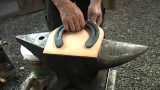 Shoeing a Draft Horse - Tips and Techniques Part 3 (Front Hoof Shoeing)
