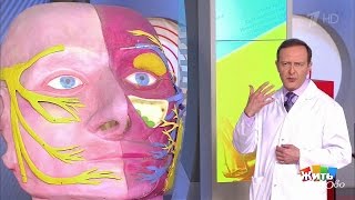 Синусит и гайморит — последствия насморка. Жить здорово! (15.03.2017)