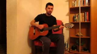 Riblja Čorba - Lelek .....  (cover by Ivan Marović)