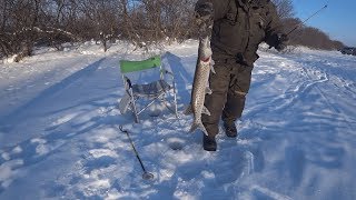 Вот это рыбалка!!! Кунджа,Щука, Голец! озеро Невское, р. Длинная, о.Сахалин! Бешеный клев!