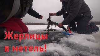 Рыбалка на жерлицы в первую метель 2019 - 2020. Рыбалка на флажки.