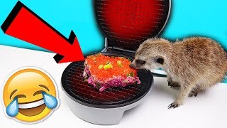 ЧТО ЕСЛИ ПРИГОТОВИТЬ ИКРУ и ОЛИВЬЕ САЛАТЫ в ВАФЕЛЬНИЦЕ - в НОВЫЙ ГОД ЭТО ОЧЕНЬ СТРАННО..?