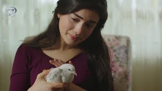 'Yemin' Yakında Kanal 7'de | Tanıtım 3