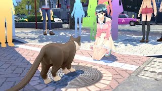 Tokyo Mirage Sessions #FE Encore - Tsubasa Side Story 2: Opening Your Heart