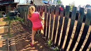 Дела житейские. Началось в деревне лето