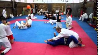 продолжение видео-отчета: Сансуйкан и Кодзюцу.