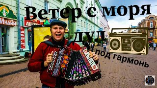 Ветер с моря дул на ГАРМОШКЕ! Парень нереально ИСПОЛНИЛ на ГАРМОНИ!)