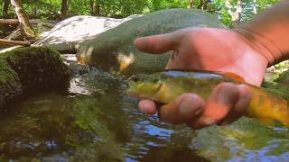 ISAAC | Pêche de la truite en Ardèche | 3