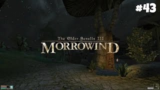 The Elder Scrolls III Morrowind Tribute to Nerevar HD: Прохождение - Пропавший муж #43