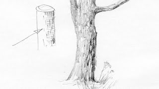 Как нарисовать кору дерева? Художник: Алексей Епишин. Рисунок карандашом.