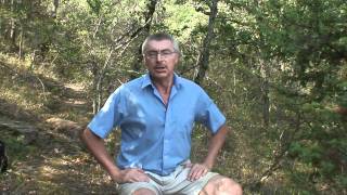 3.6. Евгений Пермяк - сказка ЗОЛОТОЙ ГВОЗДЬ. Владимир Колесников