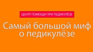 Лайс Эвей. Самый большой миф о вшах.