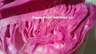 Капуста по-грузински со свеклой (капуста по-гурийски) + салат