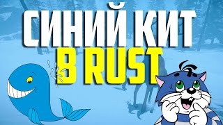 СИНИЙ КИТ В RUST