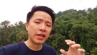 Why Foreigners Buy Malaysia's Property
