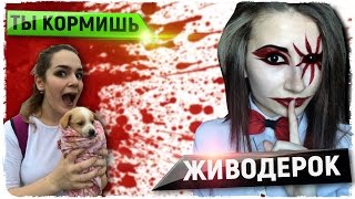 ХАБАРОВСКИЕ ЖИВОДЕРЫ ХАЙПЯТ