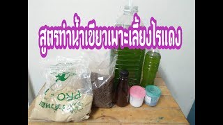 น้ำเขียว สูตรทำน้ำเขียวเลี้ยงไรแดง
