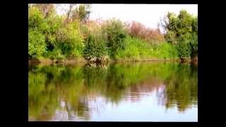 Река Пышма