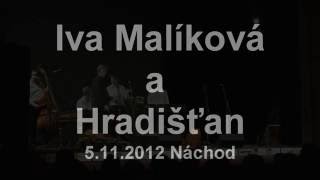 Hradišťan a Iva Malíková, Koncert za Živou vodu