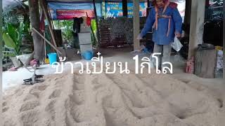 วิธีผสมขี้เลื้อเห็ดขอนดำโดยใช้เครื่องพรวนดิน #แบบบ้านๆ