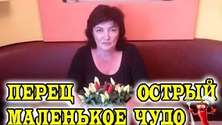 Перец острый " Маленькое чудо "