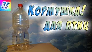 Кормушка для птиц из пластиковой бутылки. Bird feeders.