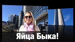 Яйца быка. Мужчинам НЕ смотреть!
