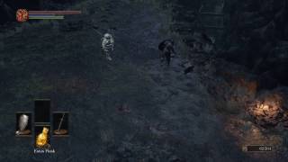 Dark Souls 3 - Siegward of Catarina vs Eygon of Carim