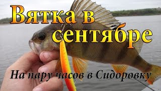 "Вятка в сентябре". Ловля щуки и окуня на воблеры. Коротенький выезд в Сидоровку