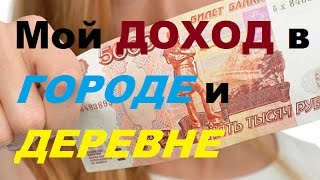 Мои доходы в городе и деревне/Переезд в деревню.