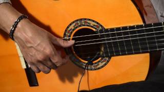 Guitarras Caro Modelo Granaína - Tema Interpretado por el maestro Javier Gavara