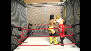 Edge vs CM Punk Steel Cage wwe toys animation