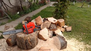 DRUJBA OLEO-MAC GS720 - tăiat cioate/ Chainsaw cutting some knotty wood/ EFCO 7200