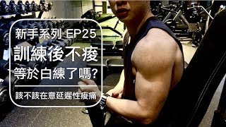 訓練後延遲性痠痛對增加肌肉重要嗎？｜Is muscle soreness important for muscle growth｜新手系列 EP25