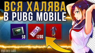 Самая актуальная халява в PUBG Mobile на данный момент! - Халява в пубг мобайл