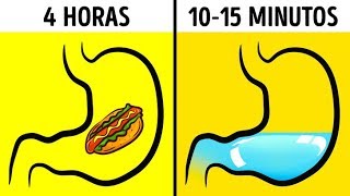 ¿Puedes Beber Agua Mientras Comes?