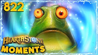 Most EXPENSIVE Frog Ever | Hearthstone Daily Moments Ep.822