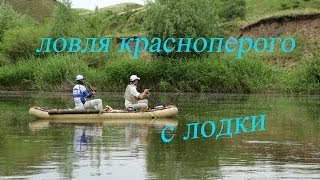 Зарисовки лодочной ловли голавля