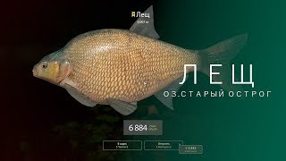 РУССКАЯ РЫБАЛКА 4 | RF4 - ЛЕЩ, ОЗ.СТАРЫЙ ОСТРОГ