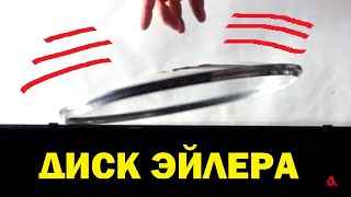 Диск Эйлера