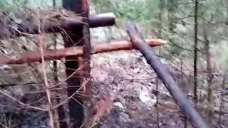 Охота на куницу. Самолов. Ловушка самодельный капкан.