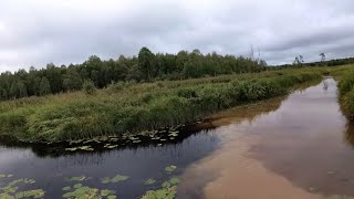 Видео отчет. Рыбалка на спиннинг на речке в августе