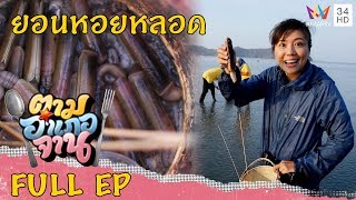ยอนหอยหลอด จ.สตูล | ตามอำเภอจาน | 25 ม.ค.63 Full EP