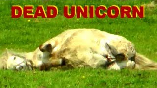 DYING UNICORN caught on tape - May 2013