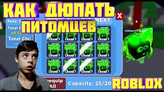 БАГ КАК ДЮПАТЬ ПИТОМЦЕВ В  СИМУЛЯТОРЕ ЛЕГЕНДЫ  НИНЗДЯ! ROBLOX NINJA LEGENDS! РАЗВАЛ СИМУЛЯТОРА