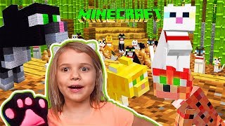 Кошачий Minecraft - приручаем и дрессируем кошек / побеждаем слаймов